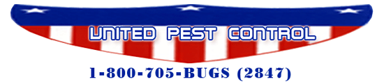pest control services throughout Virginia